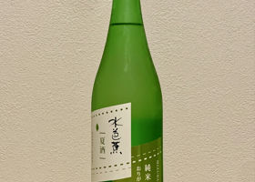 alt 1