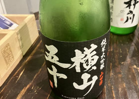 alt 1