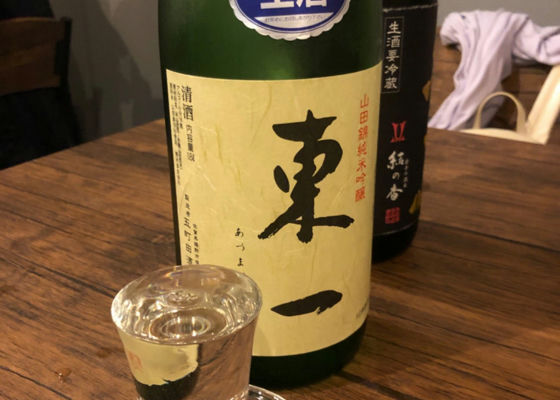 alt 1