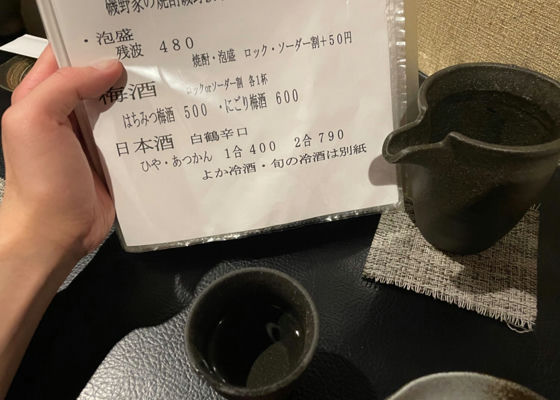 alt 1