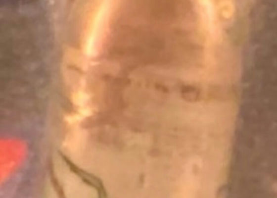 alt 1