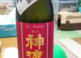 alt 1