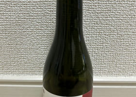 alt 1