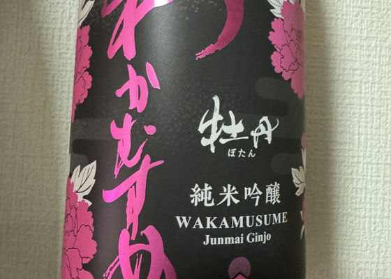 Wakamusume Check-in 1