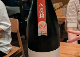 alt 1