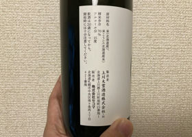 alt 3