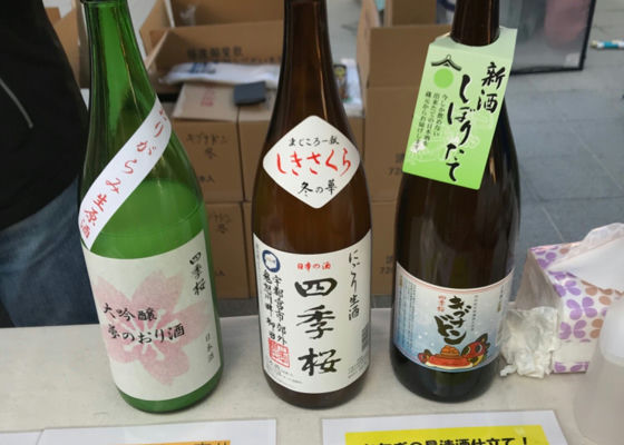 四季桜