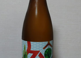 alt 1