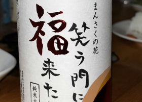 alt 1