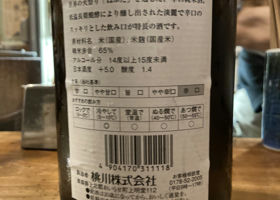 alt 3