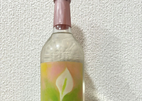 水芭蕉 チェックイン 1