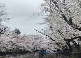 仙禽 チェックイン 2