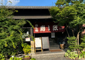 alt 3