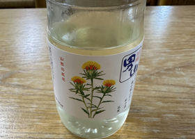 alt 1