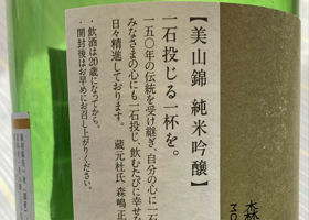 alt 3