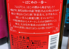 alt 3