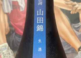 alt 3
