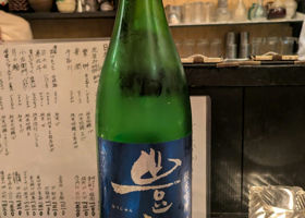 alt 1