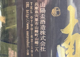alt 3