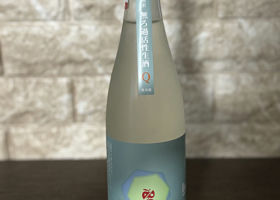 alt 1