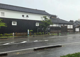 alt 3