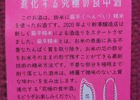 alt 3