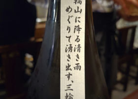 alt 3