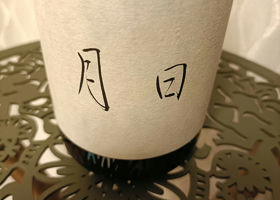 alt 1