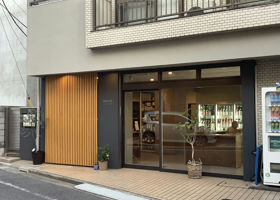 alt 4
