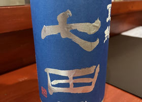 alt 1