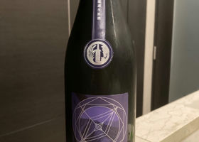 alt 1