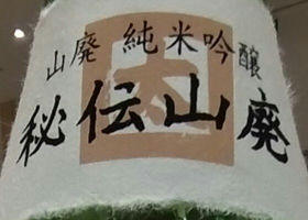alt 2