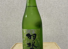 alt 3