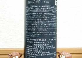 alt 2