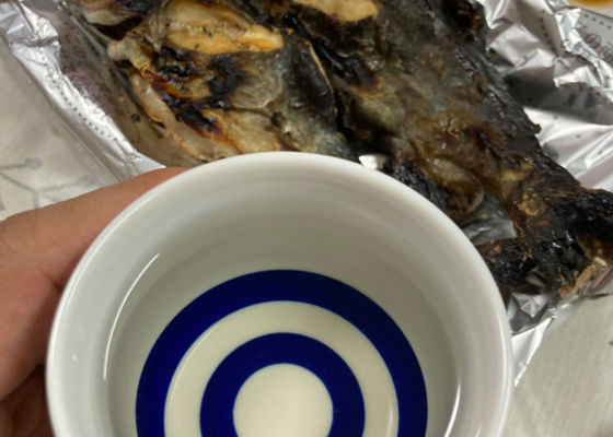 魚沼