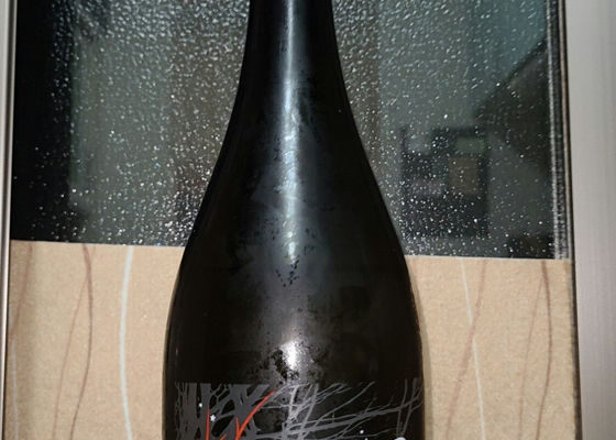alt 1