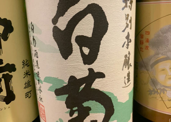 alt 1