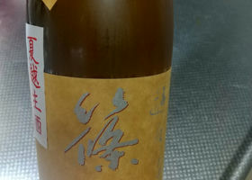 alt 1