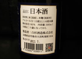 alt 3