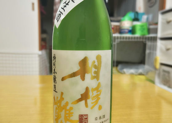 相模灘