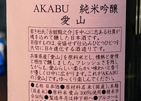 alt 3