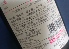 alt 3