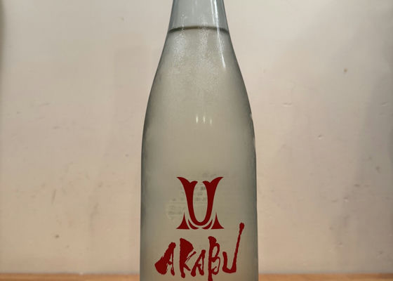 alt 1