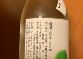alt 3