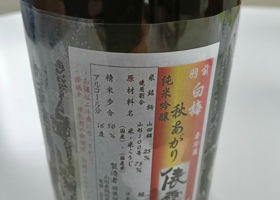 alt 2