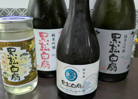 alt 2