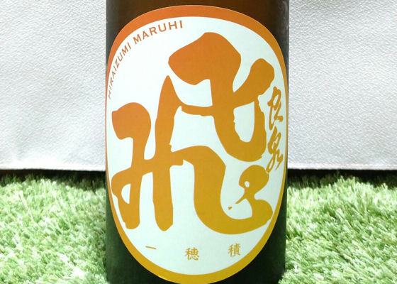 alt 1