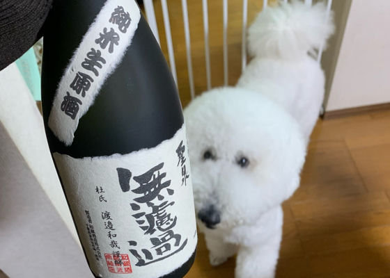 聖泉 チェックイン 1