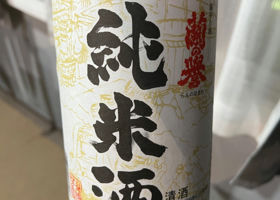 alt 1