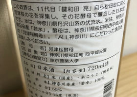 alt 3